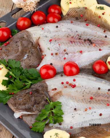Turbot