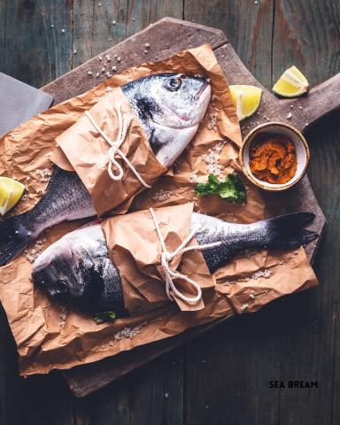 Sea Bream