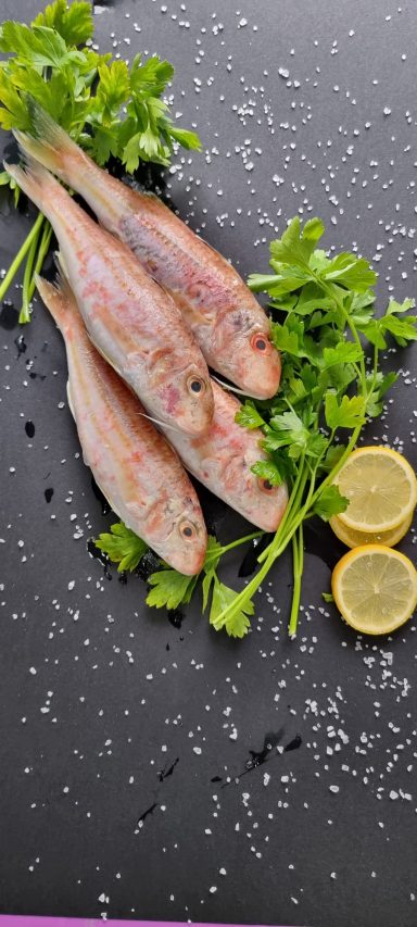 Red Mullet
