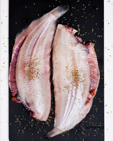 Dover Sole